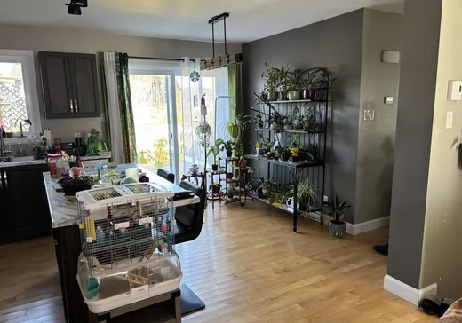 Maison à vendre - 648 Rue des Cyprès, Ste-Eulalie, G0Z 1E0