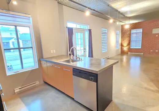 Condo à vendre - 180 Boul. Hector-Papin, L'Assomption, J5W 3L1