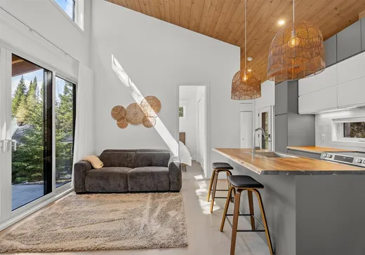 Maison à vendre - 3905-3909 Ch. Paiement, Sainte-Agathe-des-Monts, J8C 0P5