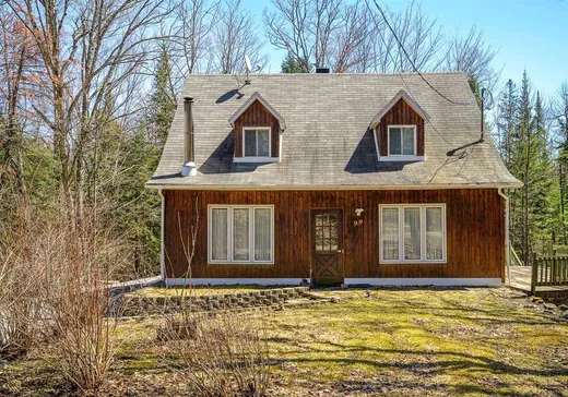Maison à étages à vendre - 99 Ch. des Becs-Scie O., Saint-Sauveur, J0R1A0