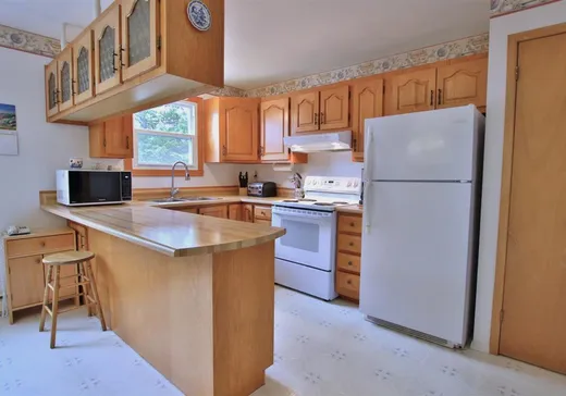 Fermette à vendre - 587 Ch. Castlebar, Danville, J0A 1A0