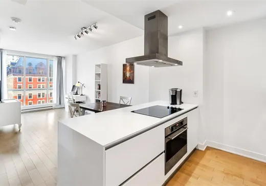 Condo à vendre - 1211 Rue Drummond, Montréal (Centreville), H3G 0E6