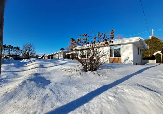 Maison à vendre - 284 Av. des Tilleuls, Mont-Laurier, J9L 2G9