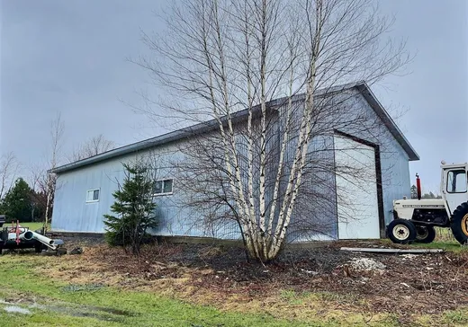 Fermette à vendre - 623Z Ch. Gosford, St-Joseph-De-Coleraine, G0N1B0