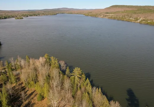 Maison à vendre - 37 Ch. Lajeunesse, Lac-Bouchette, J0X 1E0