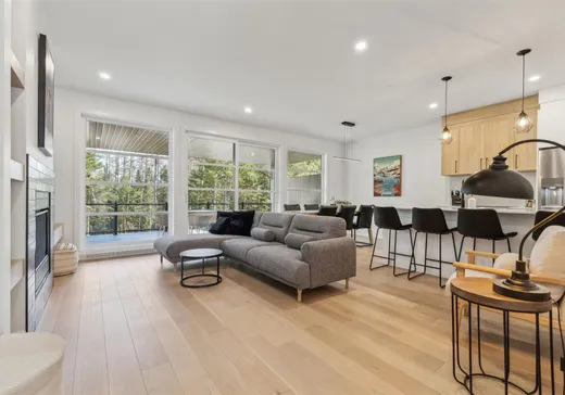 Maison à vendre - 20 Allée des Petits-Chaudrons, Mont-Tremblant, J8E 1Z5