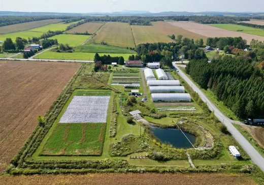 Fermette à vendre - 328Z Rue de l'Église, St-Francois-Xavier-de-Brompton, J0B 2V0
