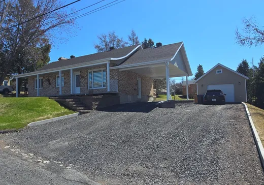 Two or more stories for sale - 111 Rue St-Jean, Matapedia, G5J2X6