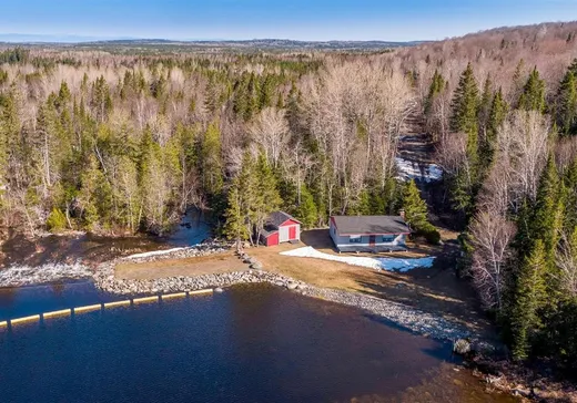 Maison à vendre - 46 Lac des Roches, Pohénégamook, G0L 1J0