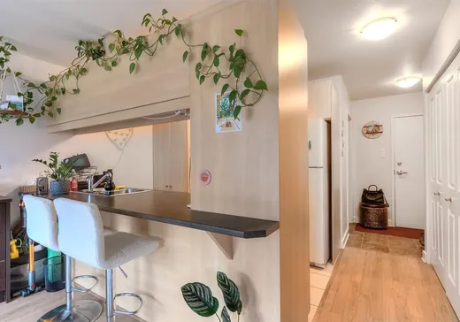 Loft for sale - 5600 Rue Briand, Ville Emard (Montreal Island), H4E 0A1