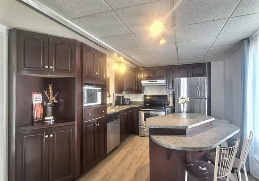 House for sale - 24 Rue des Trois-Lacs, Plessisville, G6L 5J7