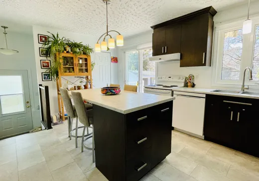 Maison à vendre - 358 Av. Caouette, Rouyn-Noranda, J9X 3X3