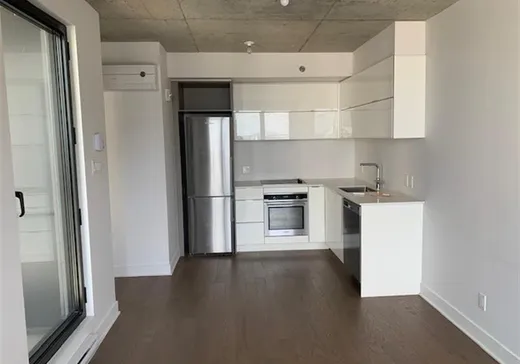 Condo for sale - 195 Rue Peel, Montreal (Downtown), H3C 2G6