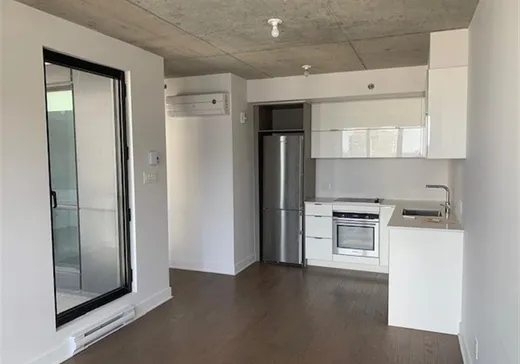 Condo for sale - 195 Rue Peel, Montreal (Downtown), H3C 2G6
