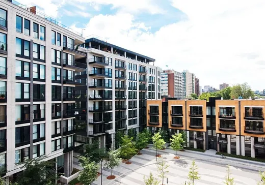 Condo à vendre - 3421 Av. Henri-Julien, Montréal (Plateau-Mont-Royal), H2X3H3