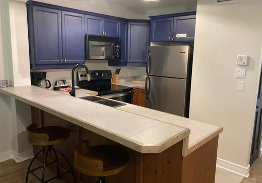 Condo for sale - 195 Rue du Mont-Plaisant, Mont-Tremblant, J8E 1L2