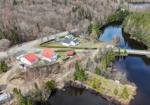 Maison à vendre - 280 Ch. du Lac-Aylwin, Ste-Thecle, G0X 3G0