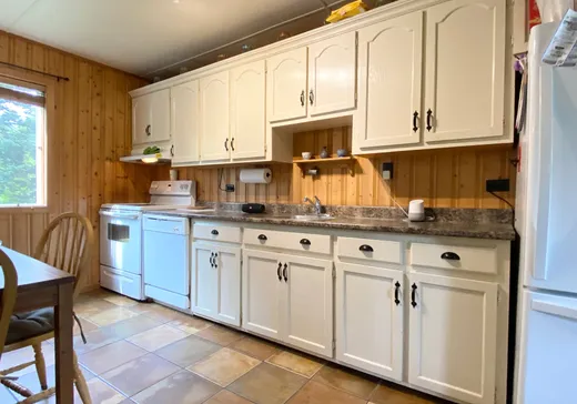 Maison à vendre - 2379 Rue Ste-Adèle, Val David, J0T 2N0