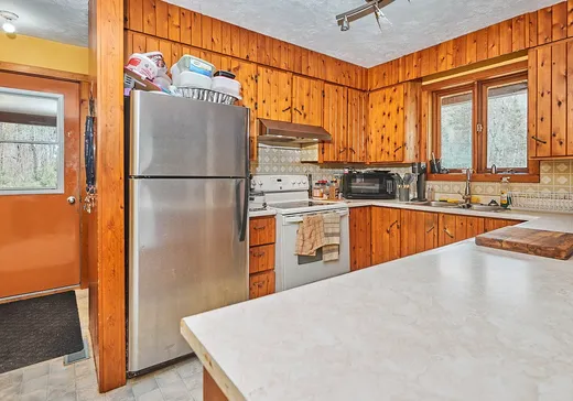 Maison à vendre - 139 Ch. du Chevreuil-Blanc, Val-des-Bois, J0X 3C0