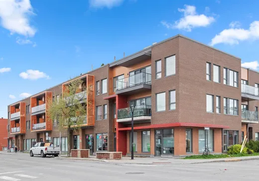 Condo à vendre - 3430 Rue Masson, Montréal (Rosemont–La Petite-Patrie), H1X1R7