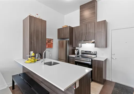 Condo à vendre - 3430 Rue Masson, Montréal (Rosemont–La Petite-Patrie), H1X 1R7