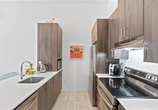 Condo à vendre - 3430 Rue Masson, Montréal (Rosemont–La Petite-Patrie), H1X 1R7