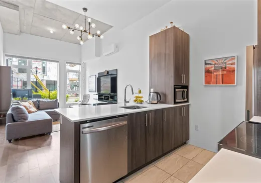 Condo à vendre - 3430 Rue Masson, Montréal (Rosemont–La Petite-Patrie), H1X 1R7
