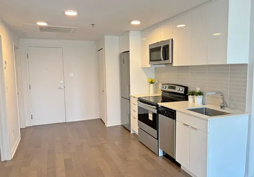 Condo à vendre - 1182 Rue Crescent, Montréal (Centreville), H3G 0G6