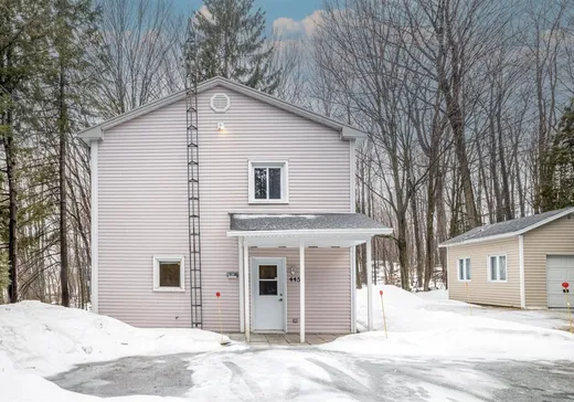 Maison à étages à vendre - 445 Rue Principale, saint-thuribe, G0A4H0