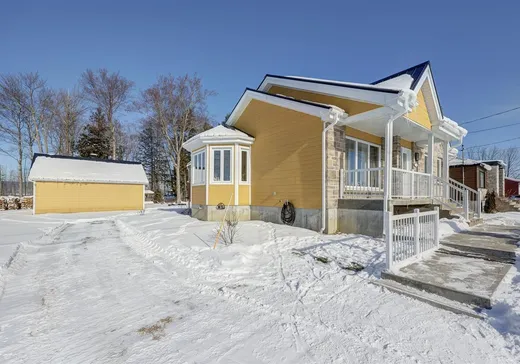 Chalet à vendre - 215 Rue Principale, saint-thuribe, G0A 4H0