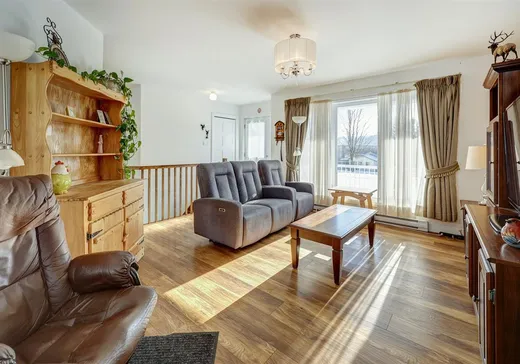 Chalet à vendre - 215 Rue Principale, saint-thuribe, G0A 4H0