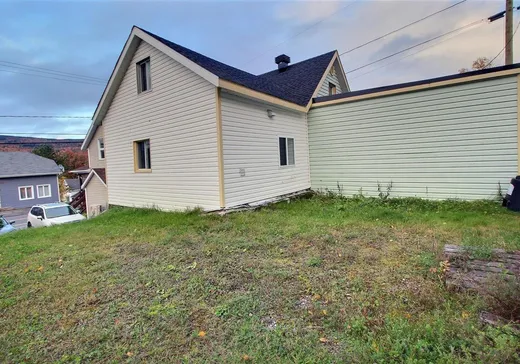 Maison à vendre - 503 Rue St-Vallier, Pohénégamook, G0L 1J0