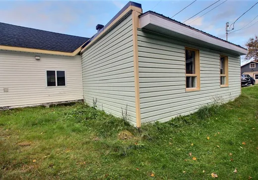 Maison à vendre - 503 Rue St-Vallier, Pohénégamook, G0L 1J0