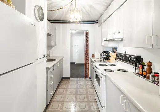 Condo à vendre - 1050 Av. Amesbury, Montréal (Centreville), H3H 2S5