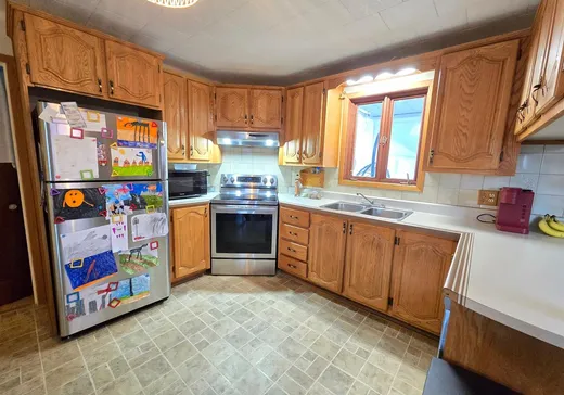 House for sale - 256 Rue Mountain, Brownsburg-Chatham, J8G 3A5