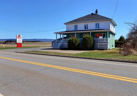 Maison à étages à vendre - 923 Route de la Seigneurie, Saint-Roch-Des-Aulnaies, G0R4E0