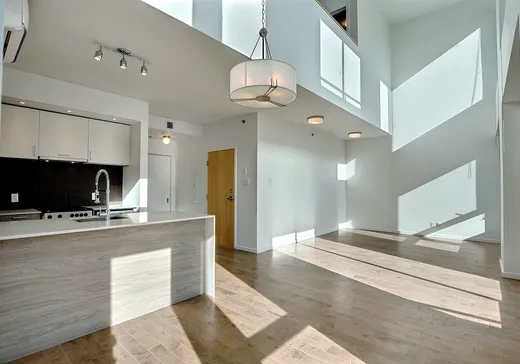 Condo à vendre - 2117 Rue Tupper 300T, Montréal (Centreville), H3H 0B2
