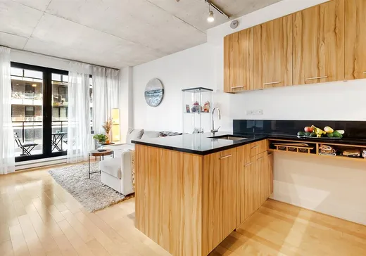 Condo for sale - 1000 Rue Ottawa, Montreal (Downtown), H3C 0P3