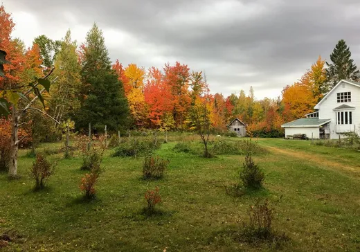 Hobby Farm for sale - 184 9e Rang, Lefebvre, J0H 2C0