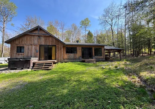House for sale - 8 Ch. Théodore-Coutu, Mansonville, J0E 1X0
