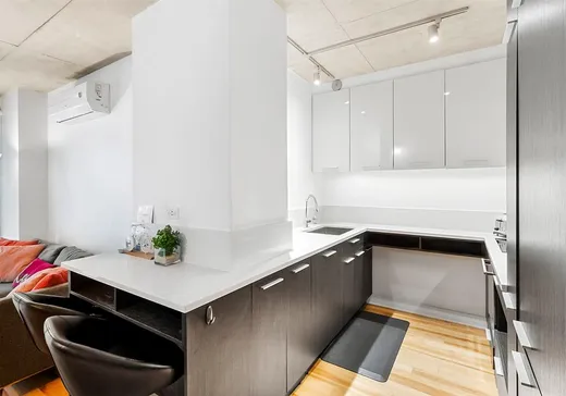 Condo à vendre - 198 Rue Ann, St-Henri (Île de Montréal), H3C 0T2