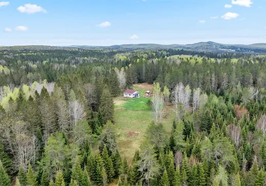 Fermette à vendre - 2491Z-2499Z Ch. des Pinsons, Nominingue, J0W1R0