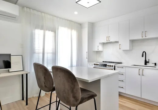 Condo à vendre - 5043 2e Avenue, Montréal (Rosemont–La Petite-Patrie), H1Y 2X9