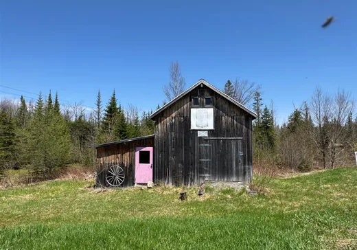 Maison à vendre - 283 Ch. St-Léon, Lac-Mégantic, G0Y 1E0