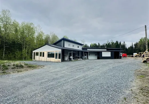 Maison à vendre - 181 2e Rang, St-Romain, G0Y 1L0