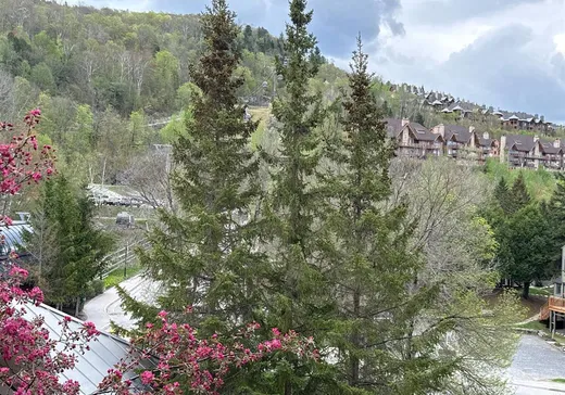 Condo à vendre - 150 Ch. au Pied-de-la-Montagne, Mont-Tremblant, J8E 3M2