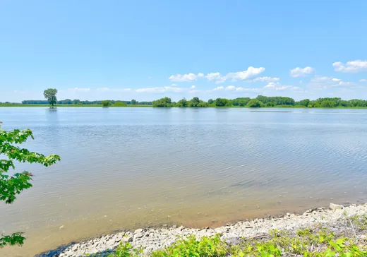 Maison à vendre - 952 Rg de l'Île-Dupas, Massueville, J0K 2P0