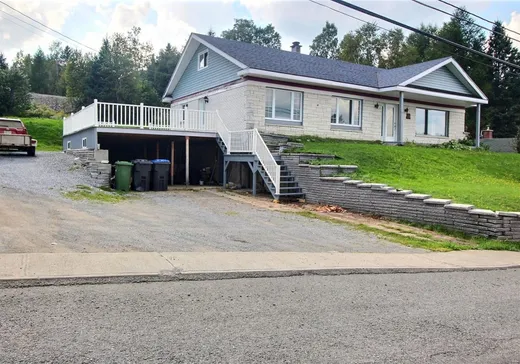 1 1/2 Storey for sale - 1819 Vieux Chemin, Pohénégamook, G0L1J0