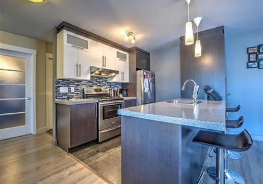 Condo à vendre - 14 Rue Louis-Jolliet, Saint-Jérôme, J7Y 0C3