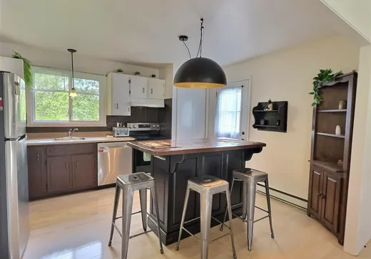 Maison à vendre - 22 Rue Belmont, Victoriaville, G6P 8T5